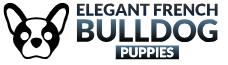 elegantfrenchbulldogpuppies.com