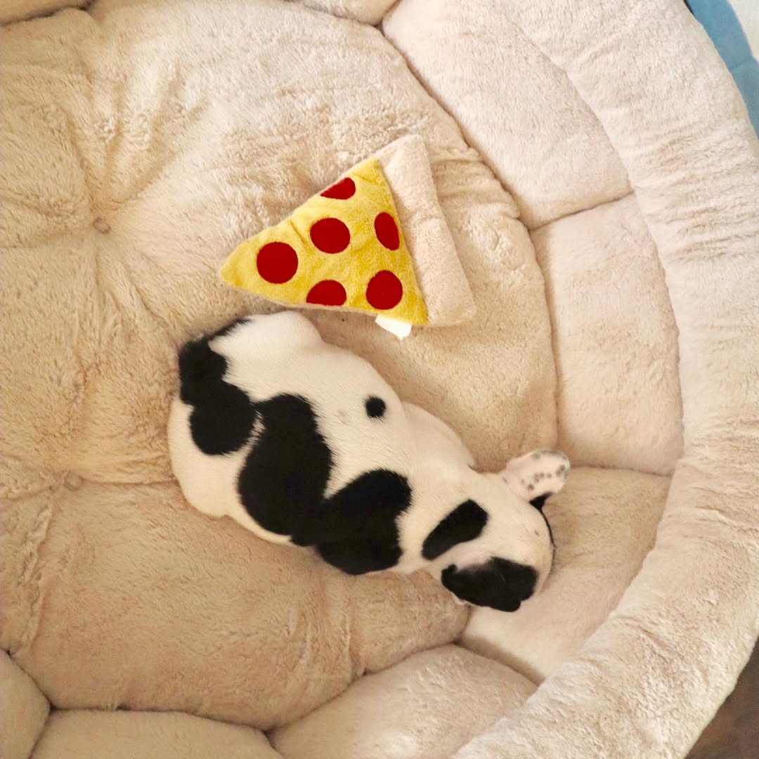 Chloe (Female) - Image 3